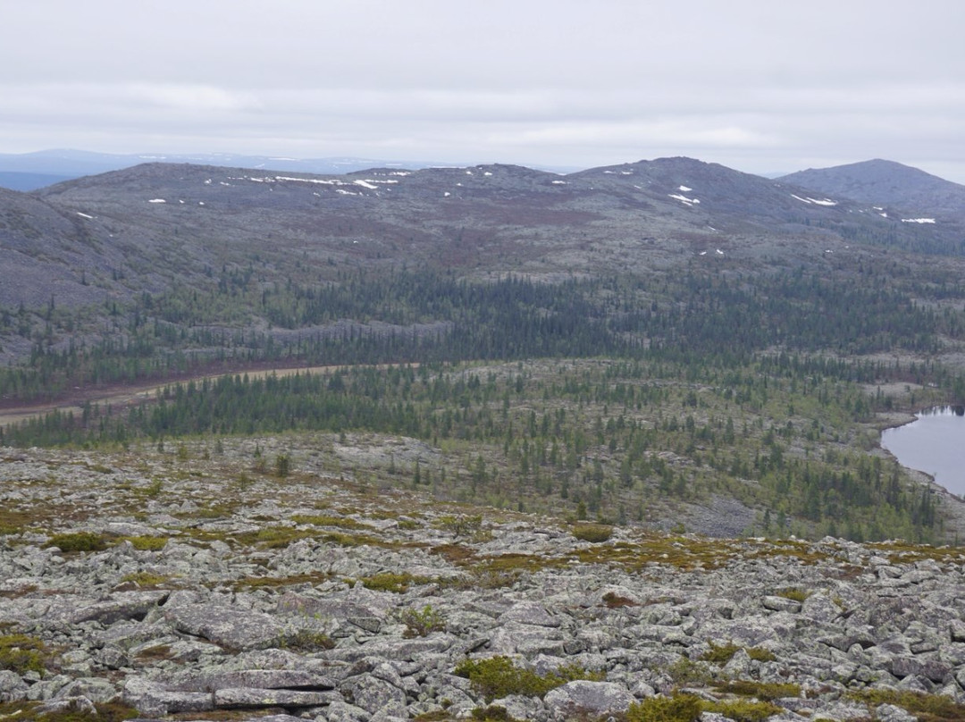 Pyhä-Nattanen Fell-Sodankyla必去景点