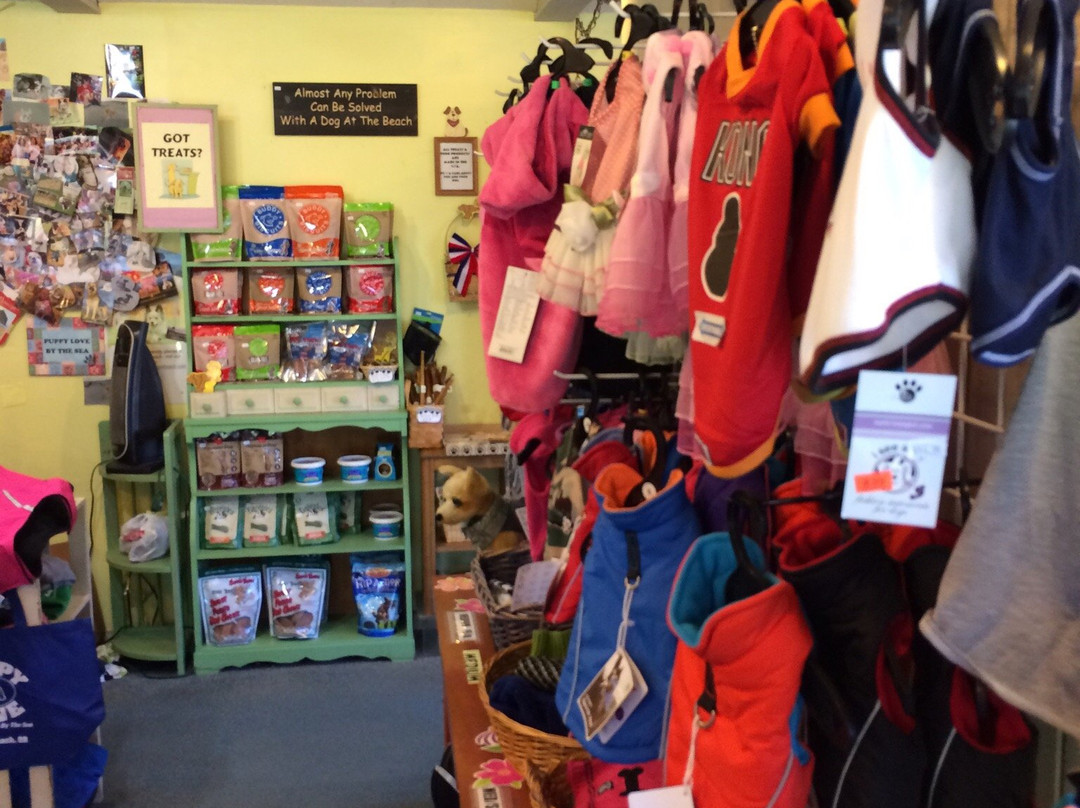 Puppy Love by the Sea-坎农比奇必去景点