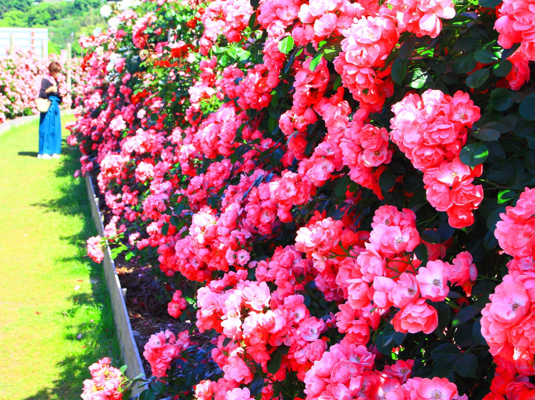 Michi no Eki Minamata-水俣市必去景点