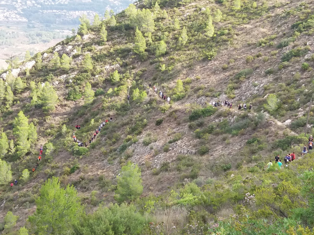 Ruta Senderista Alcalali - Coll de Rates景点图片