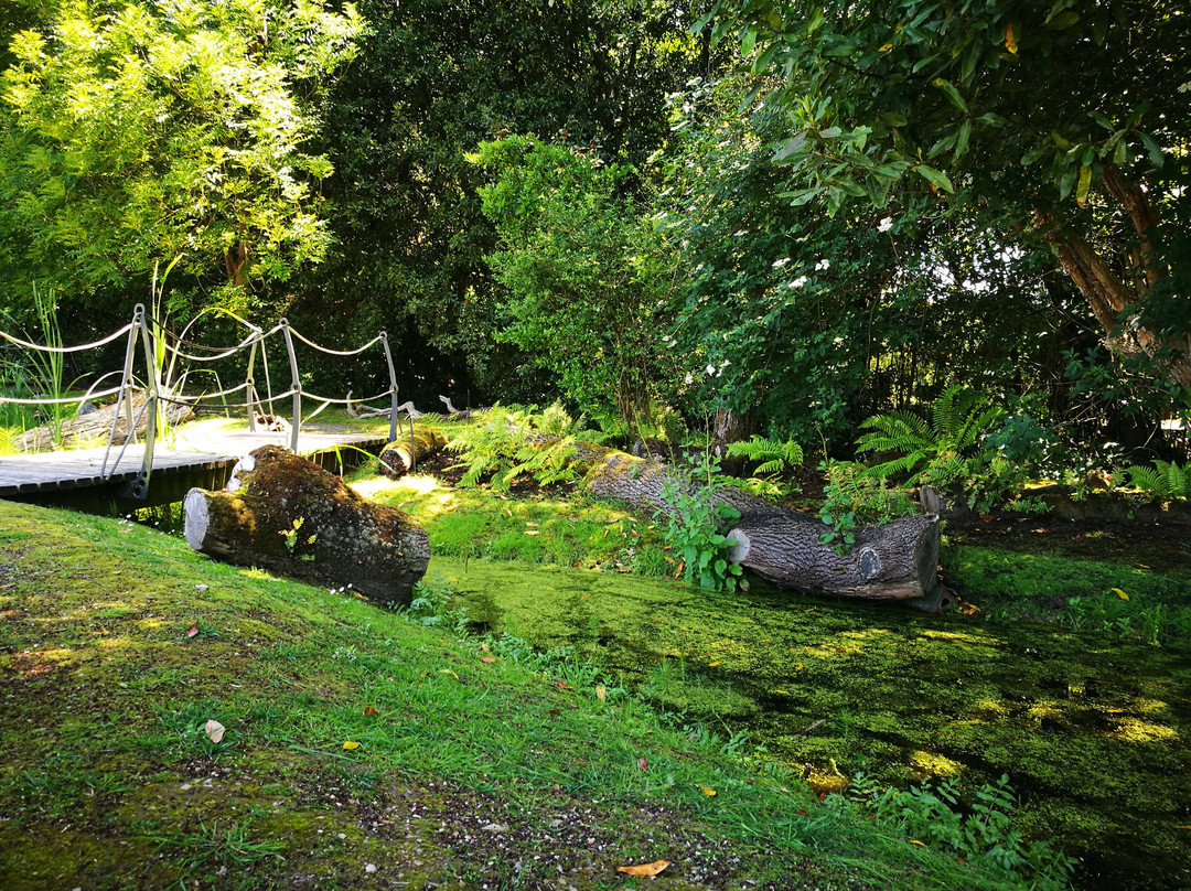 Jardin Botanico Atlantico景点图片