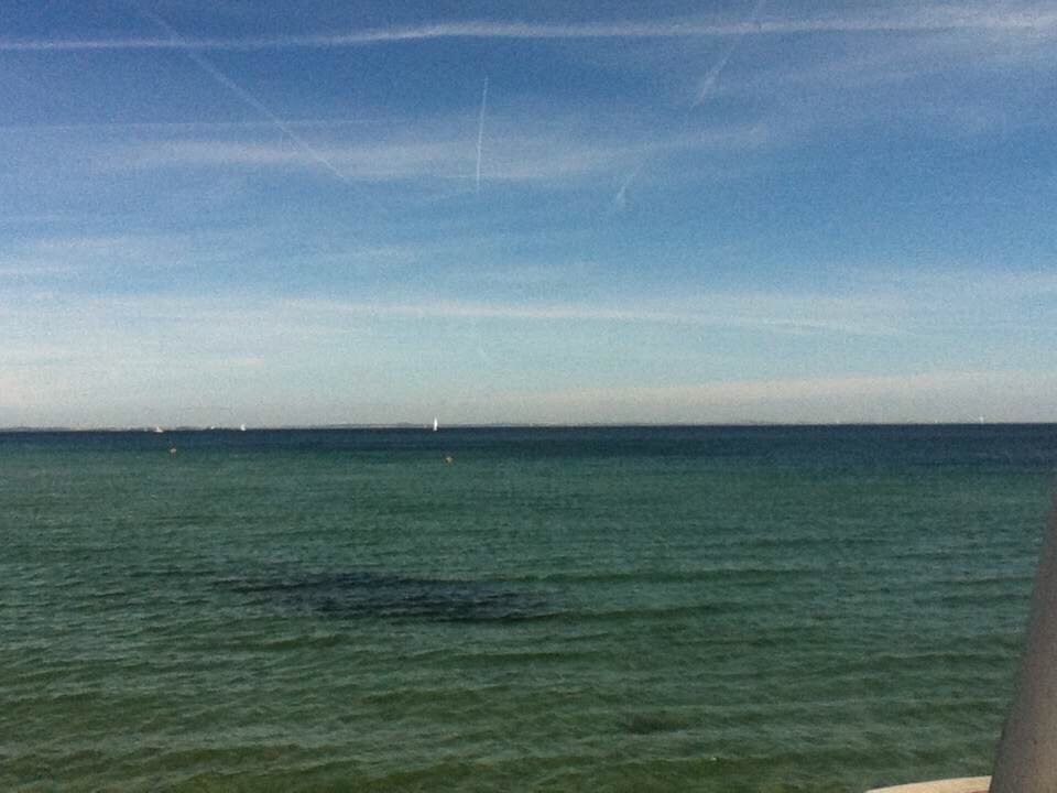 Bellevue Beach景点图片