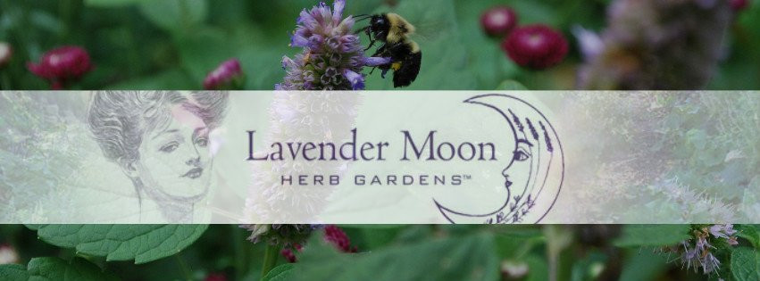 Lavender Moon Herb Gardens-Honeoye Falls必去景点