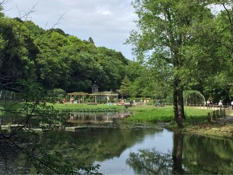 Omachi Park-市川市必去景点
