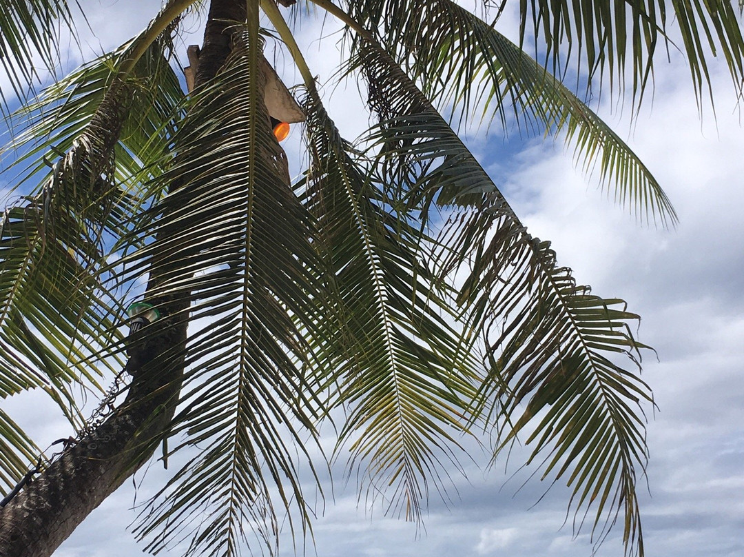 Oasi Fiore Bed & Breakfast主图