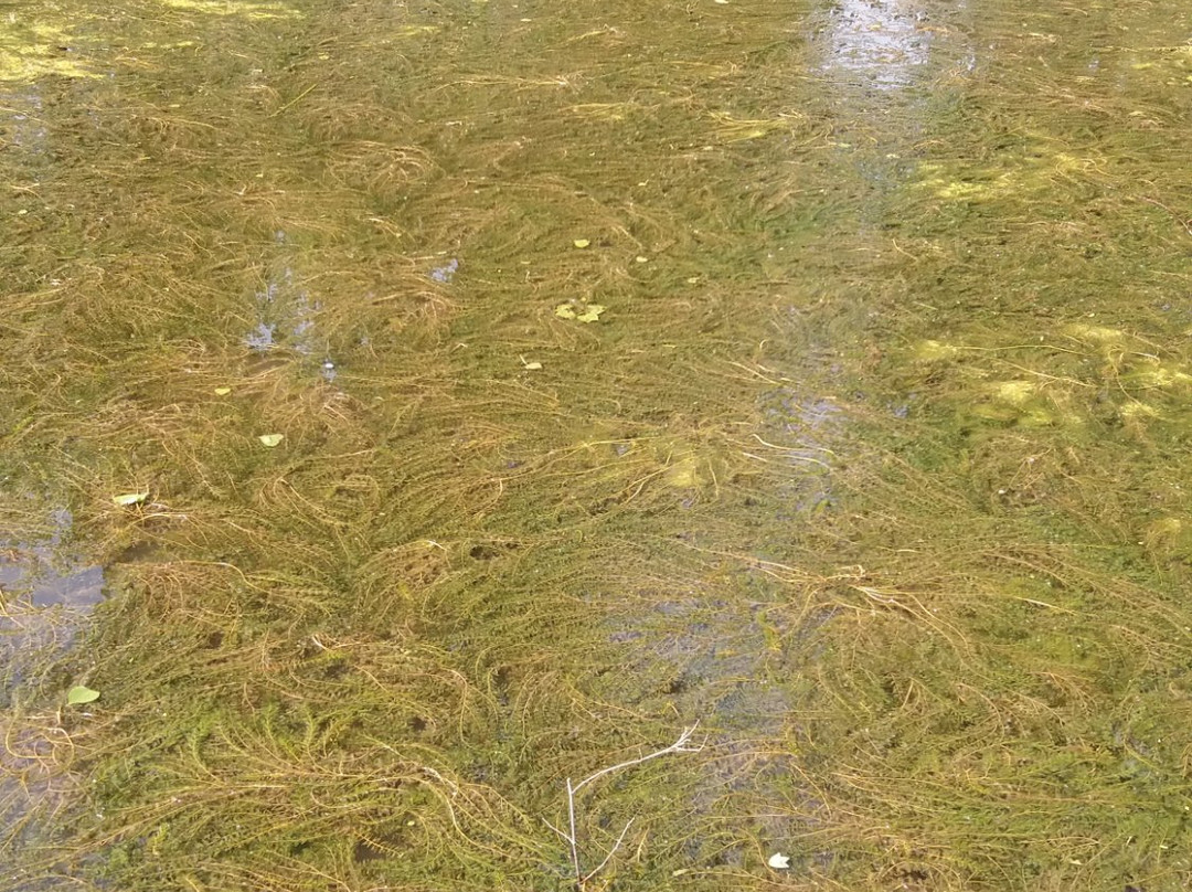 泰州溱湖风景区科普馆景点图片