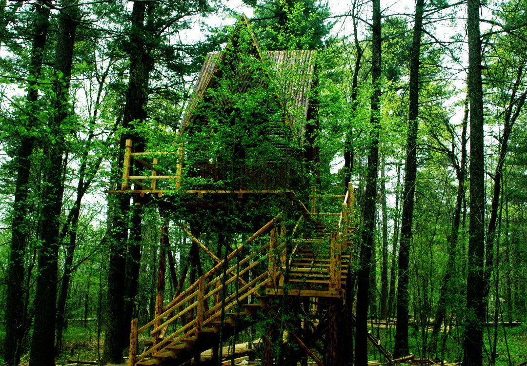 露水河国际旅游狩猎场-长白朝鲜族自治县必去景点