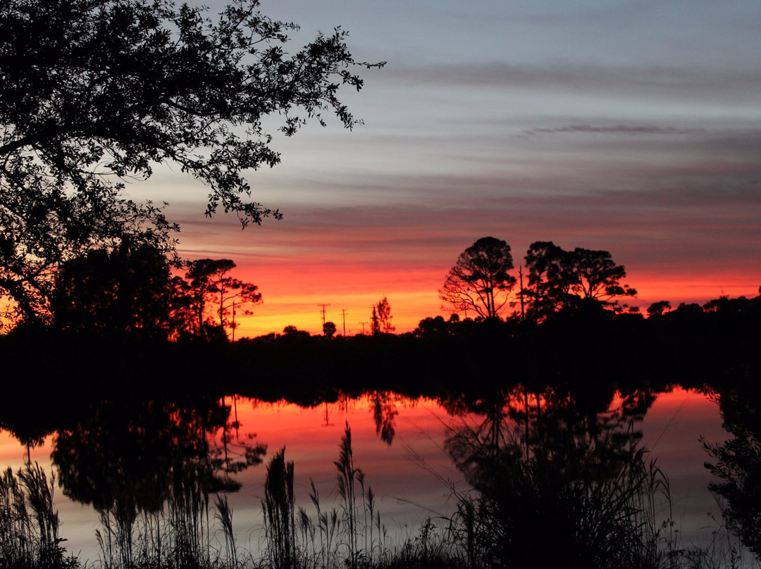 Schacht Groves-维罗海滩必去景点