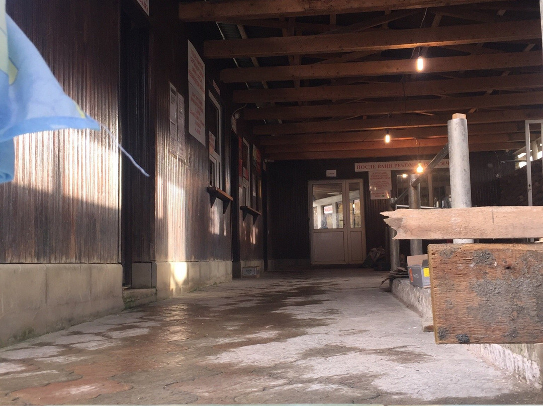 Hydrogen Sulphide Spring-New Athos必去景点