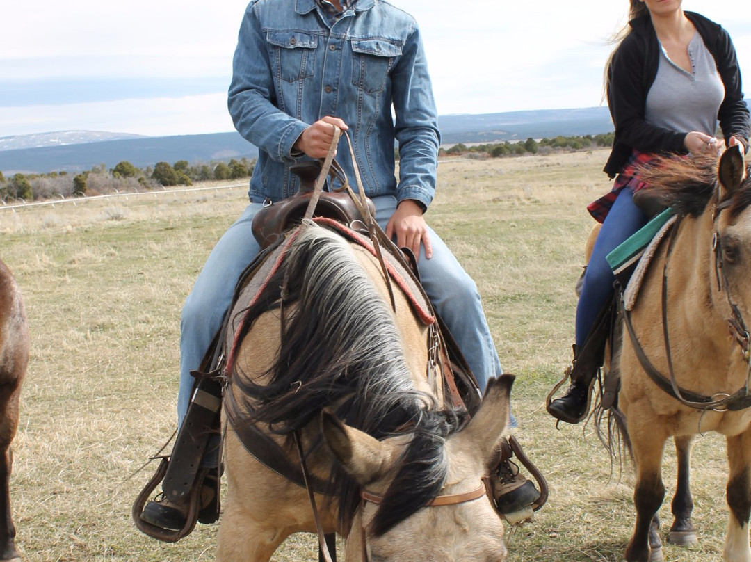 Telluride Horseback Adventures - Ride with Roudy-特柳赖德必去景点