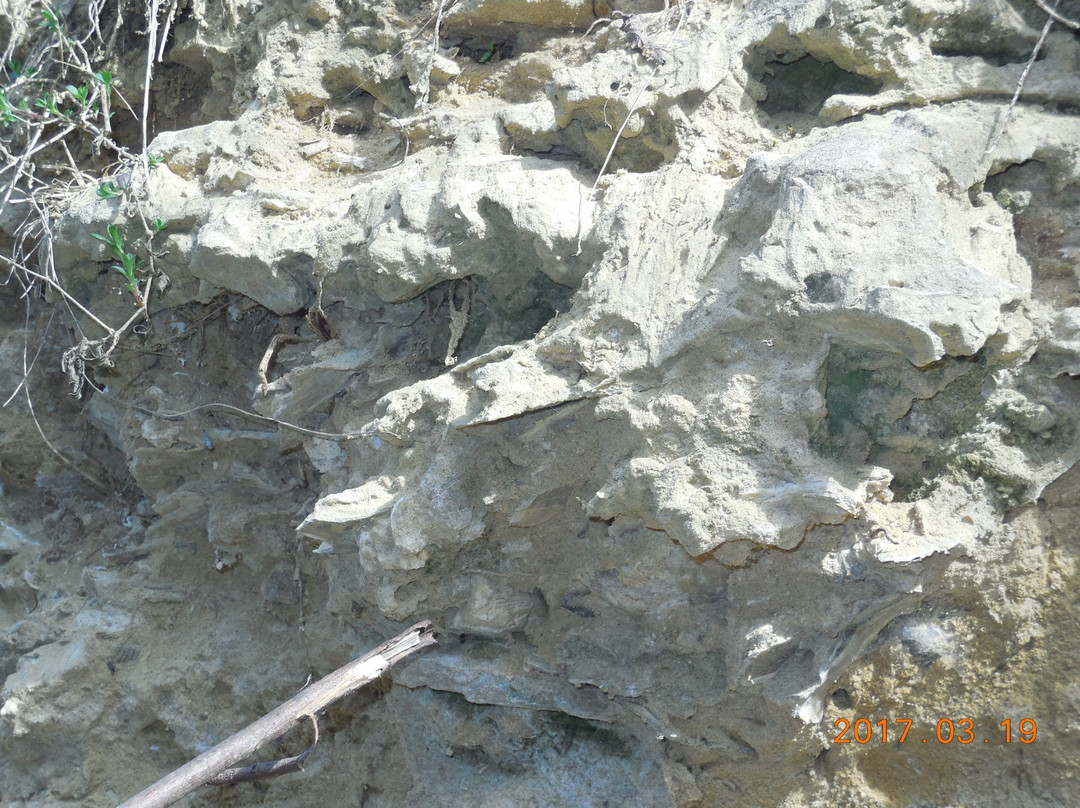 Riserva naturale  speciale di Valleandona, Valle Botto, Valle Grande景点图片
