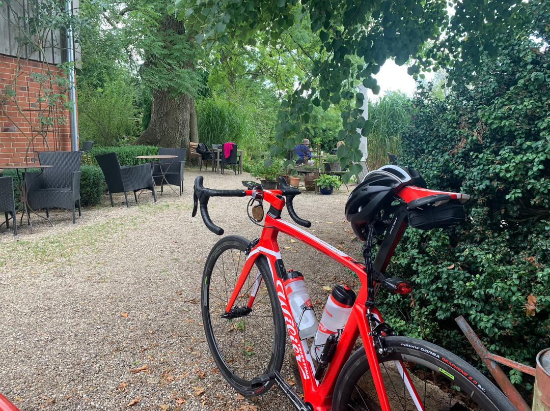 Blunk餐馆和美食-Ehrgarten