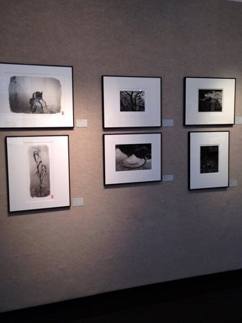 Weston Gallery-卡梅尔必去景点