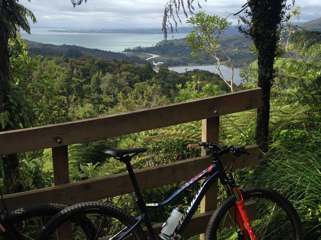 Bike and Hike Limited-奥克兰中心地区必去景点