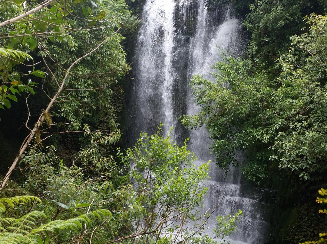 Waitanguru Falls景点图片