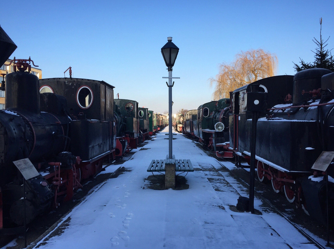 Narrow Gauge Railway Museum景点图片