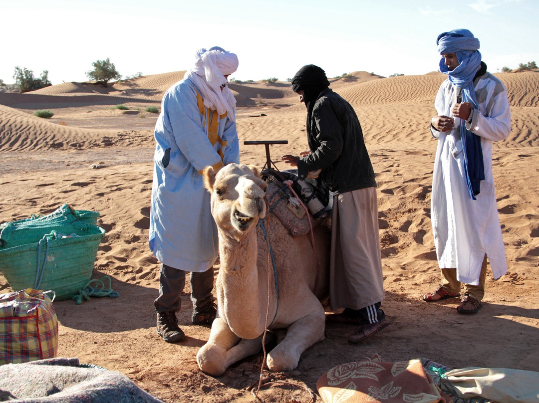 Desert Marrakech Excursion-扎古拉必去景点