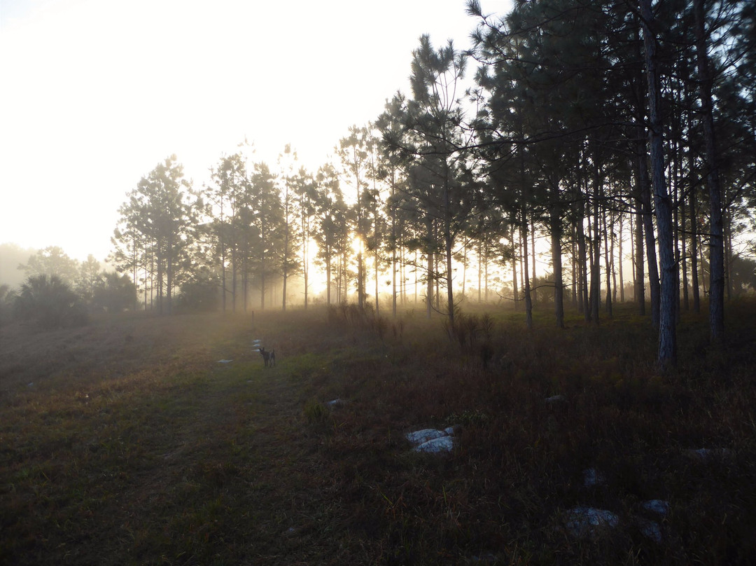 Bear Pond Trailhead-Sorrento必去景点