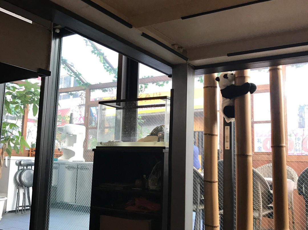成都 高円寺本店