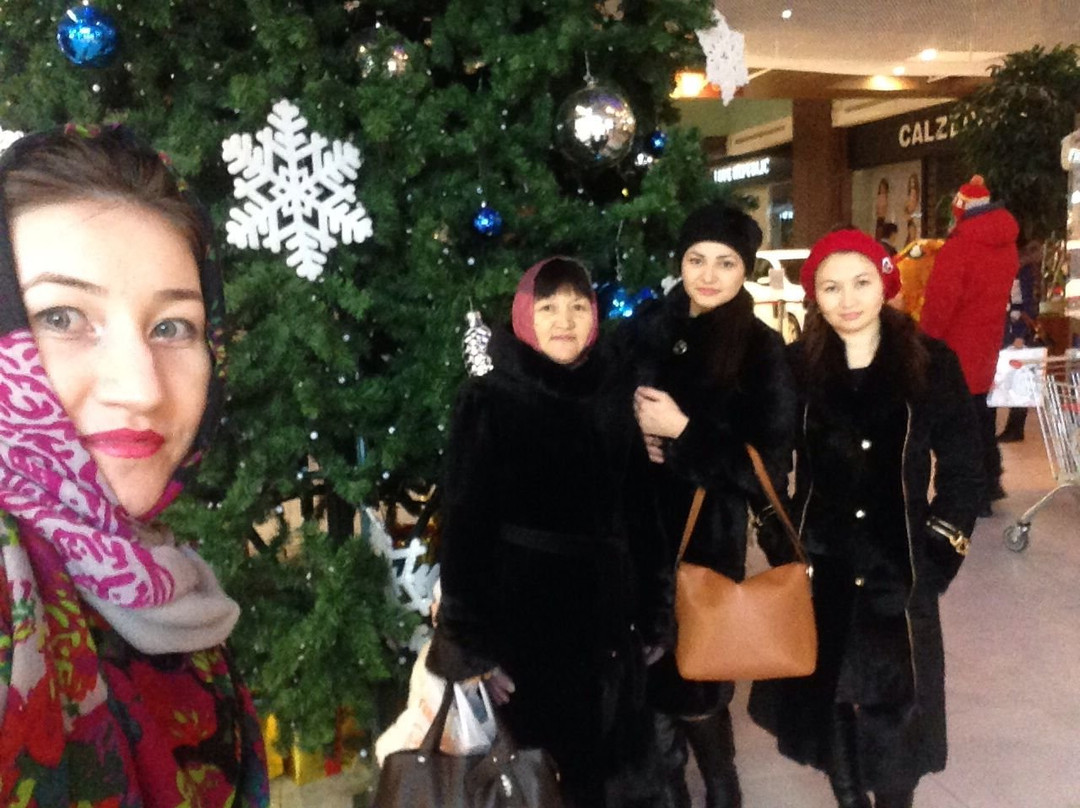 Mall Solnechny景点图片