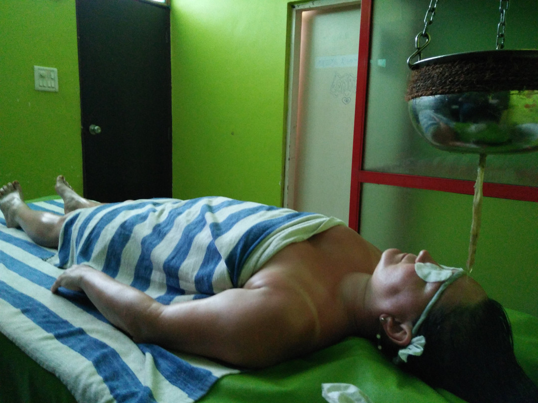 Arya  Ayurvedic Center景点图片