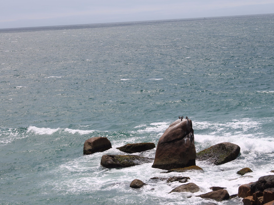 Observacao De Baleias-Praia do Rosa必去景点