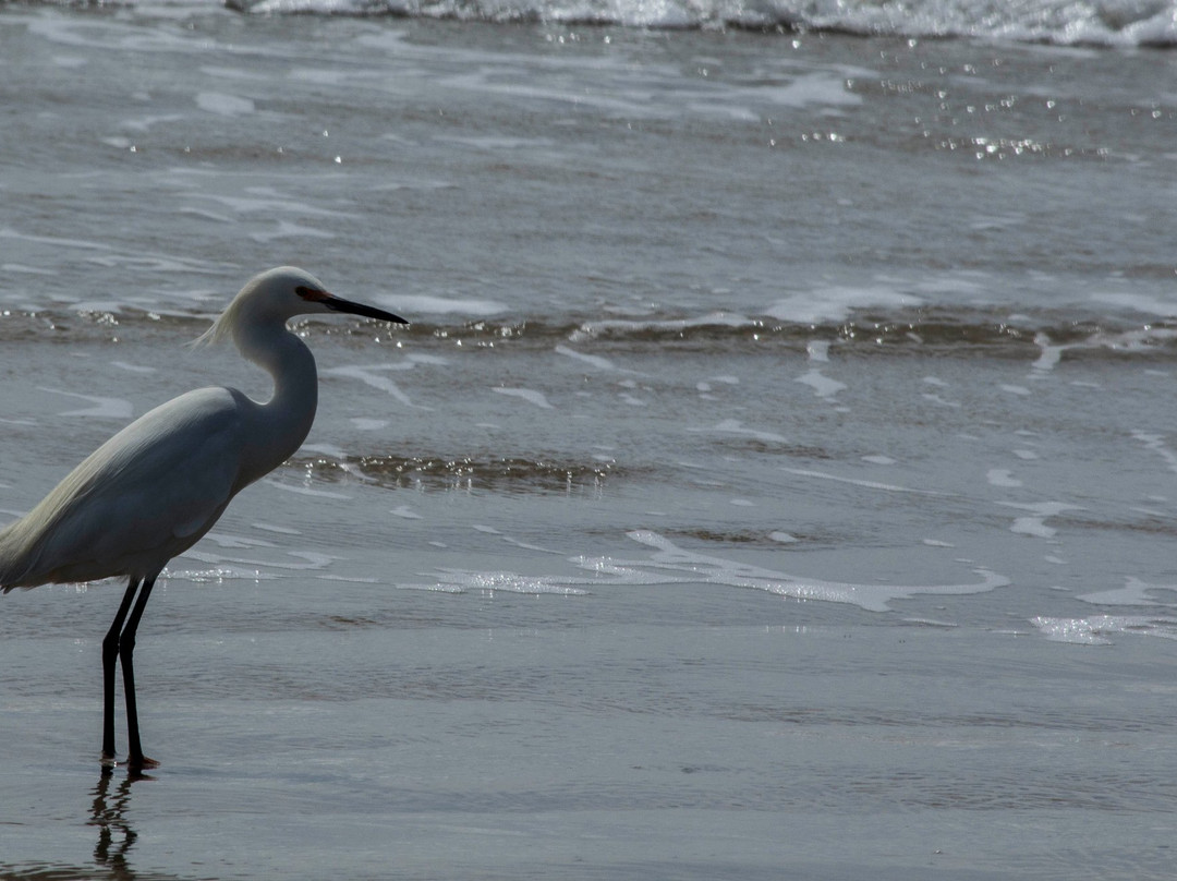 Itapiruba Beach-Laguna必去景点