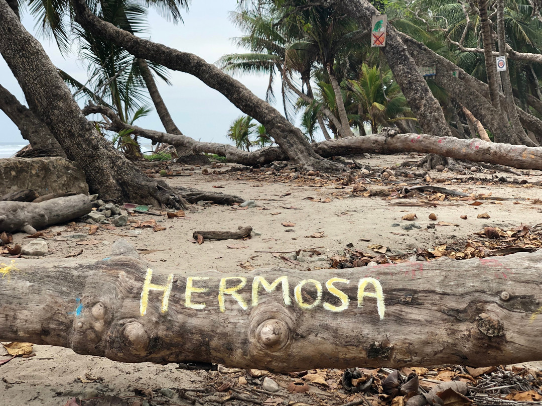 Shaka Costa Rica主图