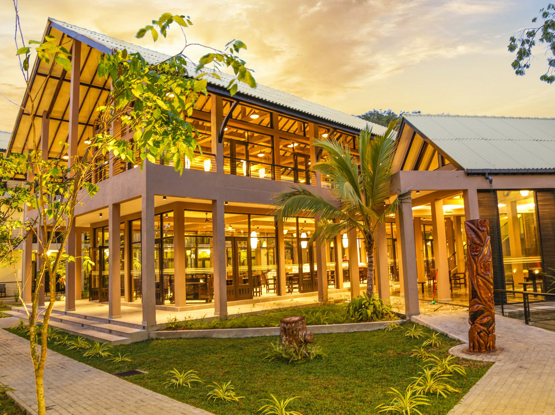 Oak Ray Wild Yala主图