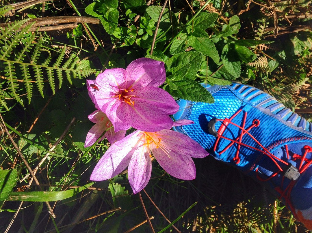 Run Thessaloniki-塞萨洛尼基必去景点