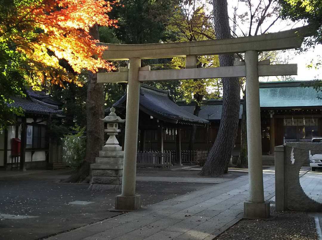 Ogikubo Hachiman Shrine-杉并区必去景点