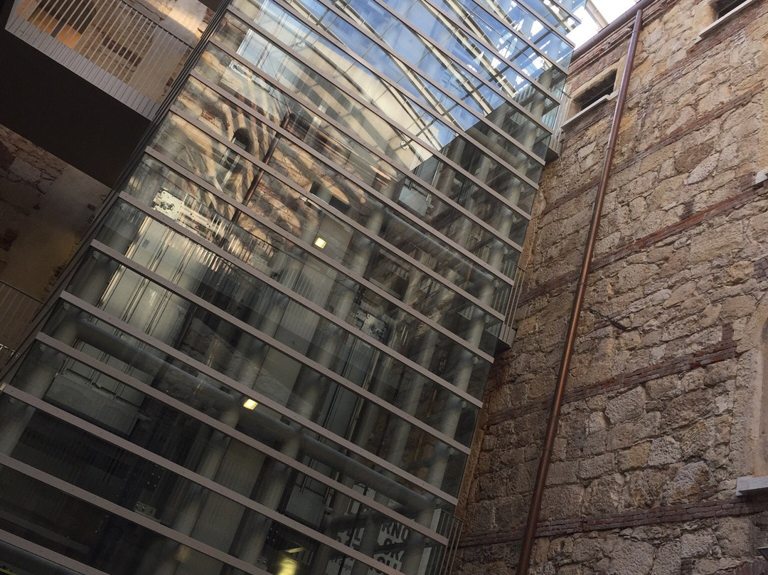 Biblioteca della Santa Marta景点图片