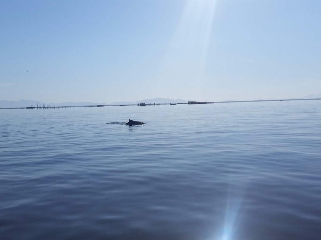 Pantanal Fluminense-Guapimirim必去景点