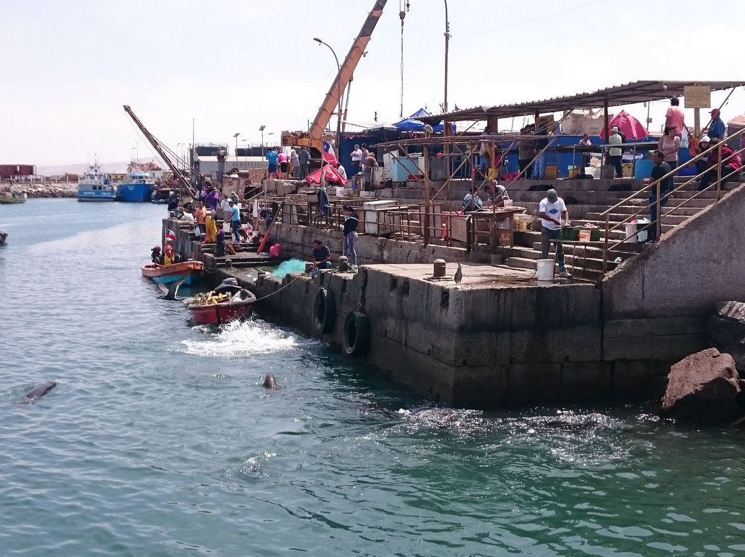 Arica Fish Market景点图片