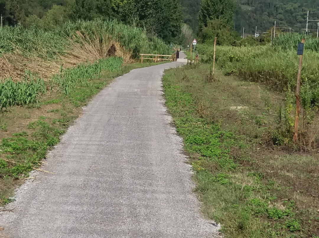 Ciclopista dell 'Arno-蒙泰卢波菲奥伦蒂诺必去景点