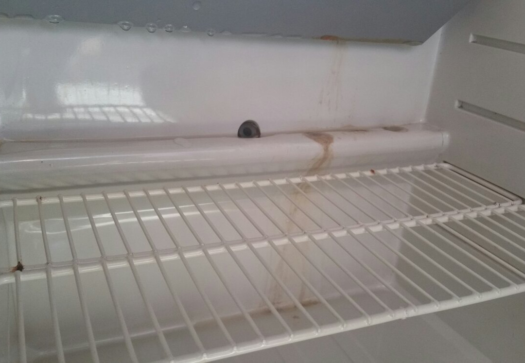 Lindenhotel Stralsund主图