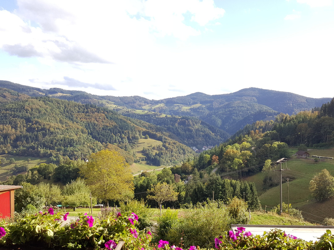 Gasthof Schluessel主图