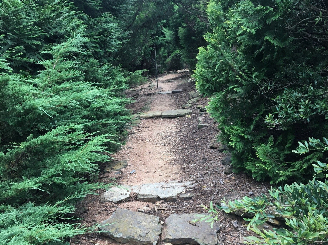 Lanana Creek Trail景点图片
