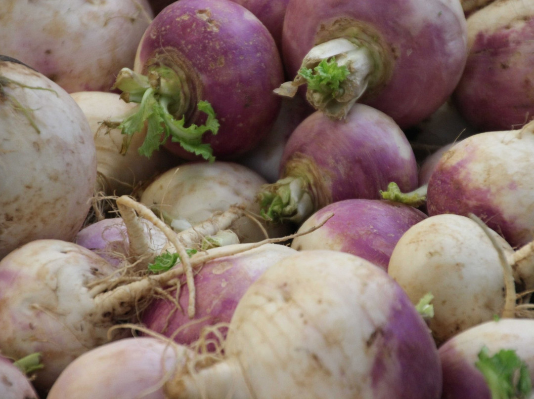 Petach Tikva Market-Petah Tiqwa必去景点