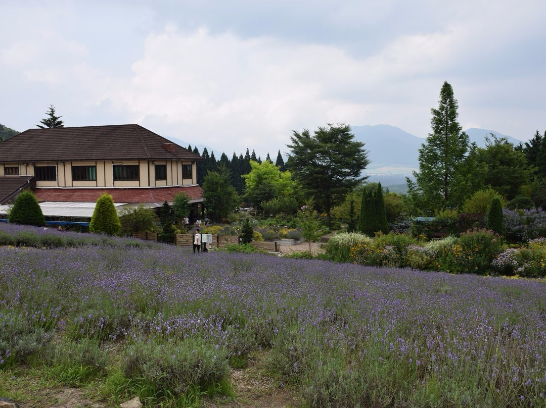 Hiruzen Herb Garden Herbill景点图片