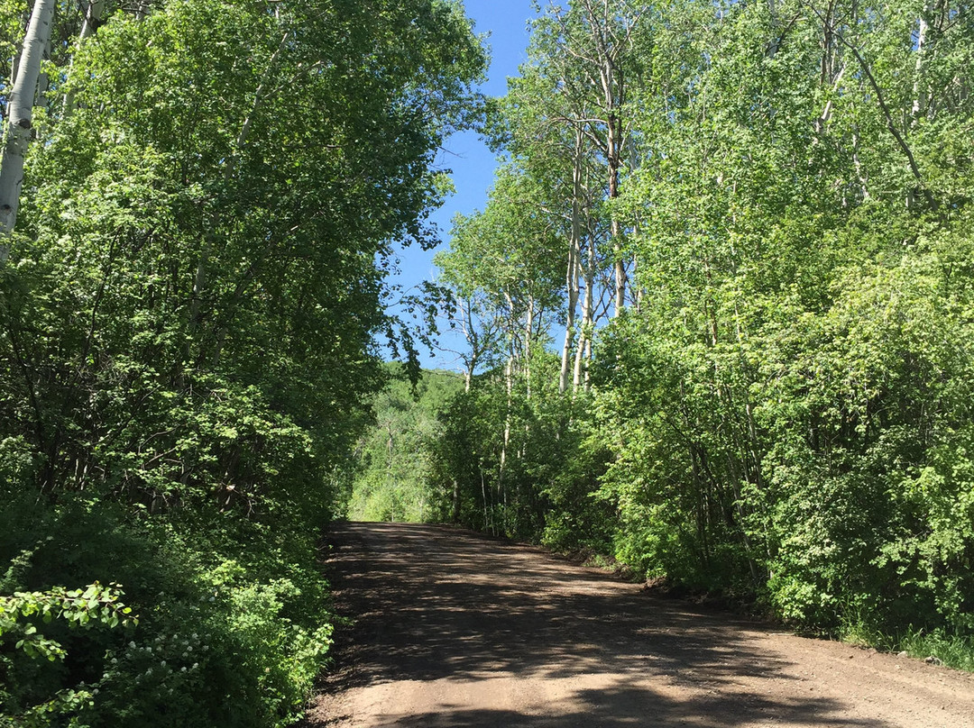 Vega State Park-Collbran必去景点