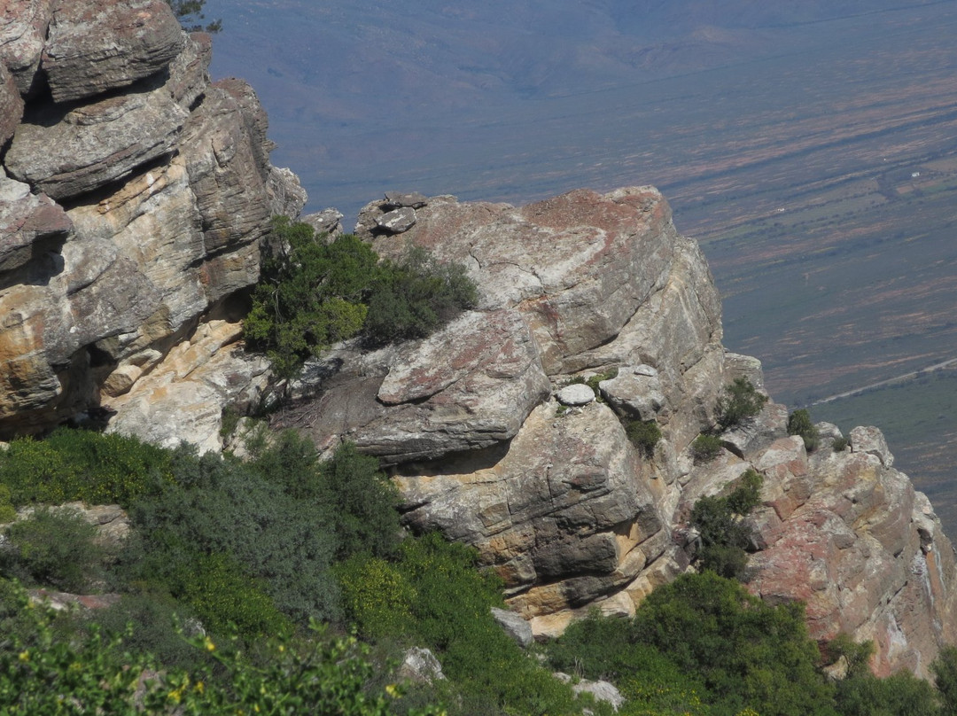 Vanrhyns Pass-Nieuwoudtville必去景点