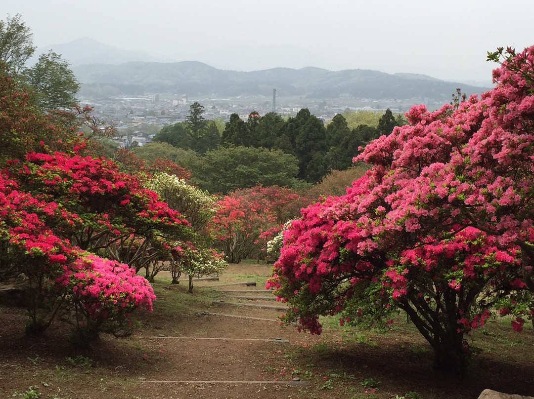 Kasama Azalea Matsuri-笠间市必去景点