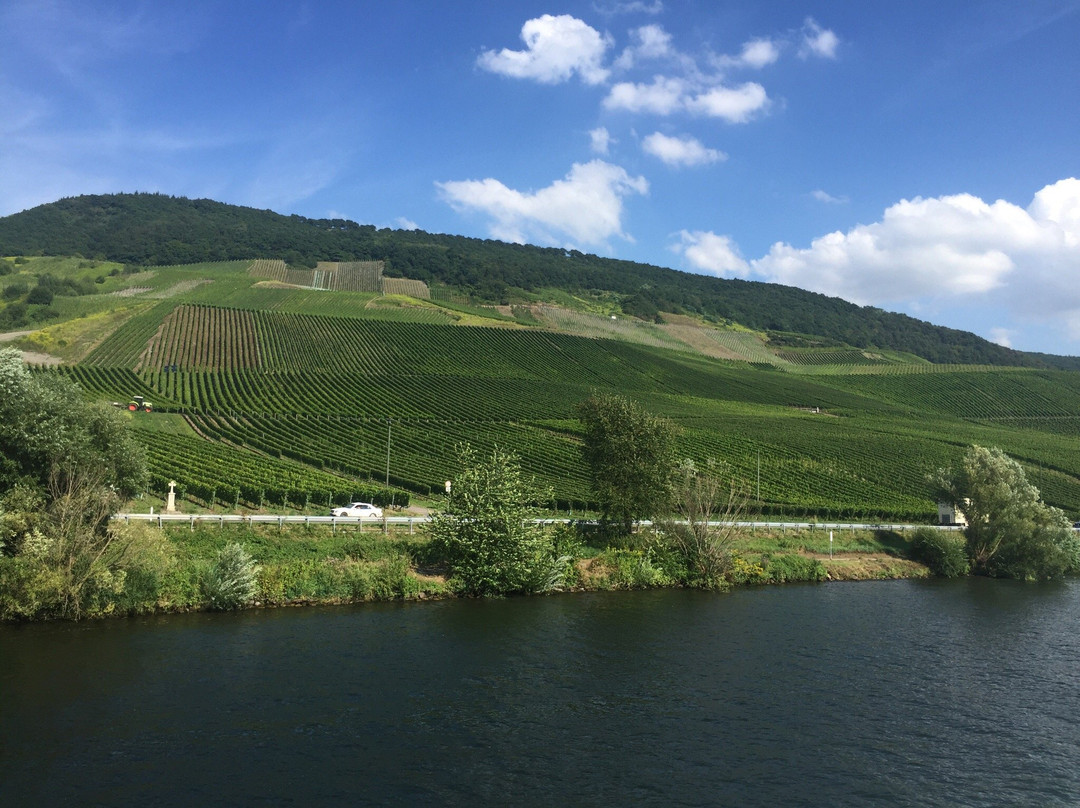 Mosel-Schiffe-Touristik景点图片