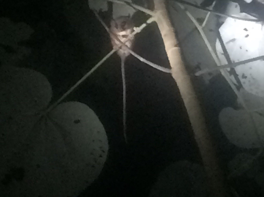 Mowglitours-托图杰多必去景点