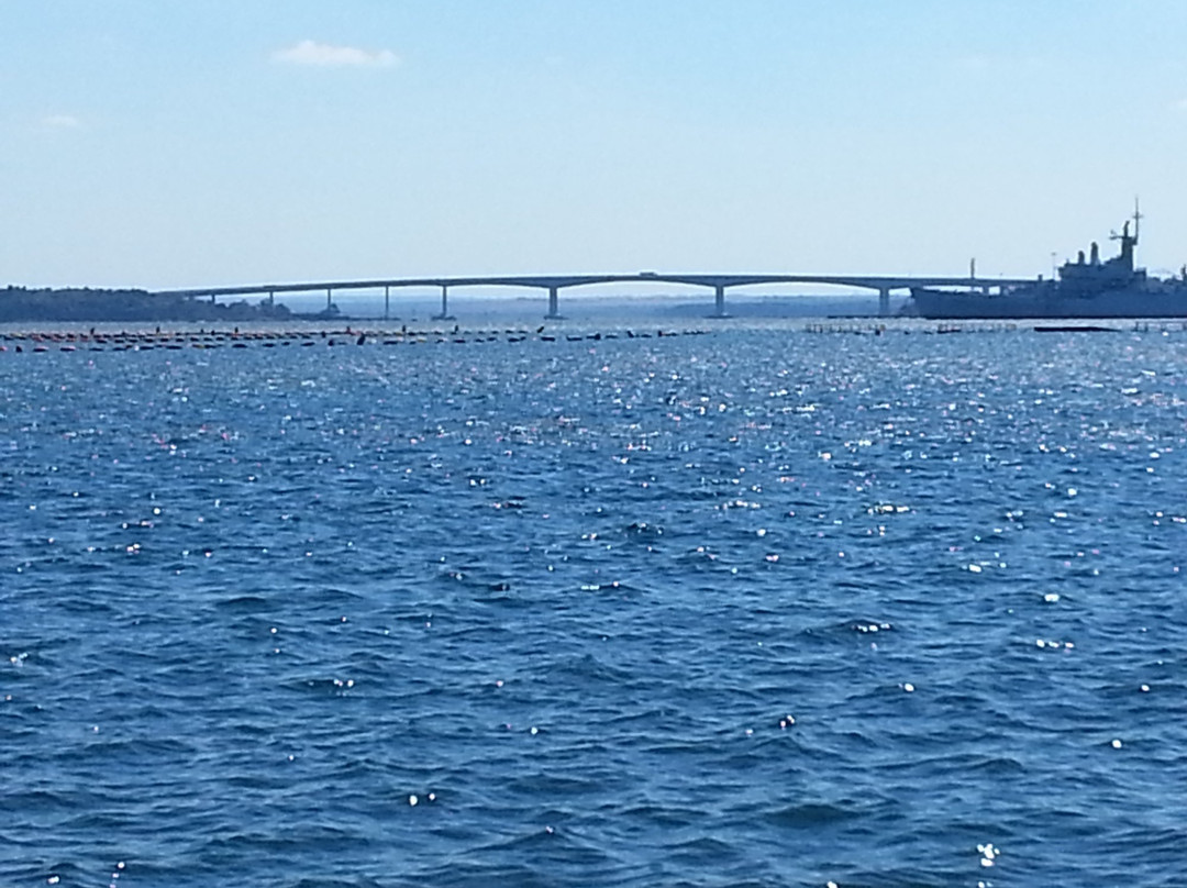 Ponte Punta Penna Pizzone-塔兰托必去景点