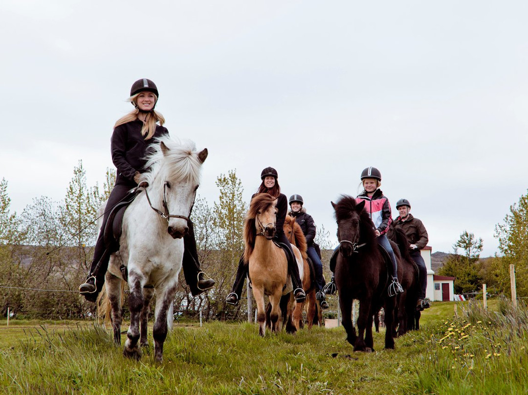 Skjaldarvik Tours-阿克雷里必去景点