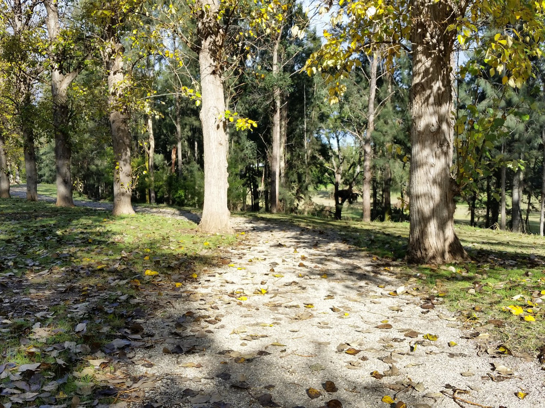 Picton旅游攻略图片