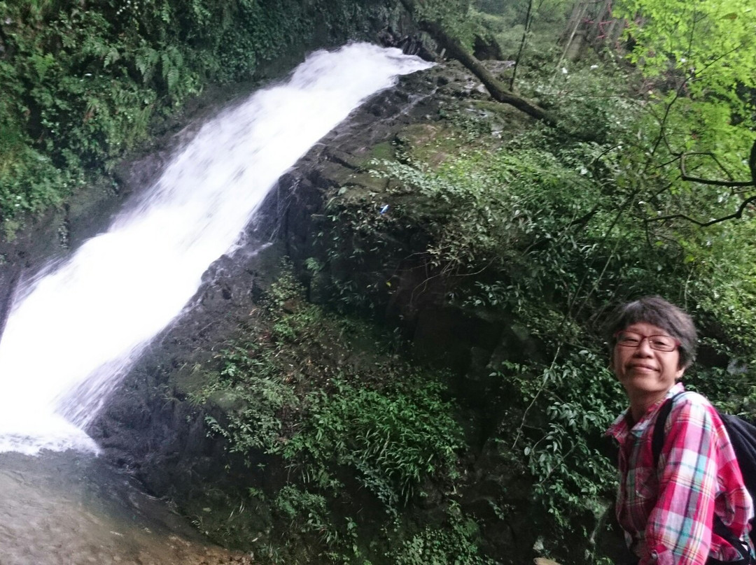 小溪保护区景点图片
