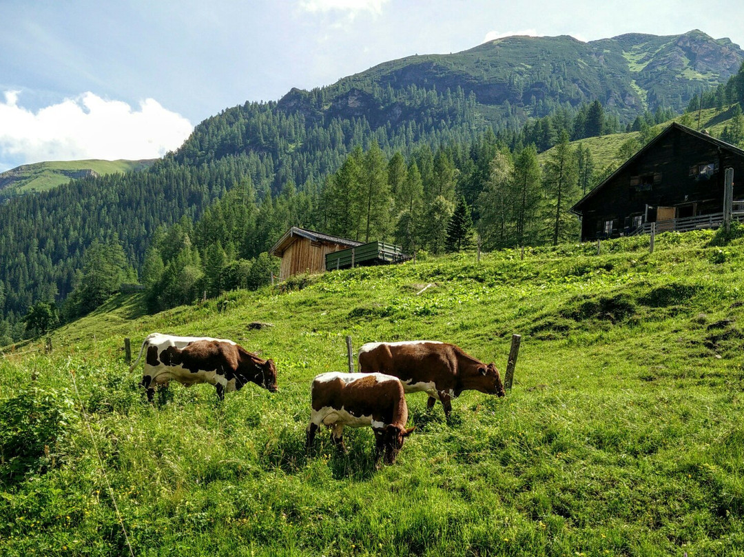 海利根布卢特旅游攻略图片